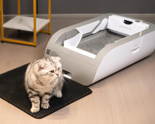 Self Cleaning cat Litter Box ( Basic Version )